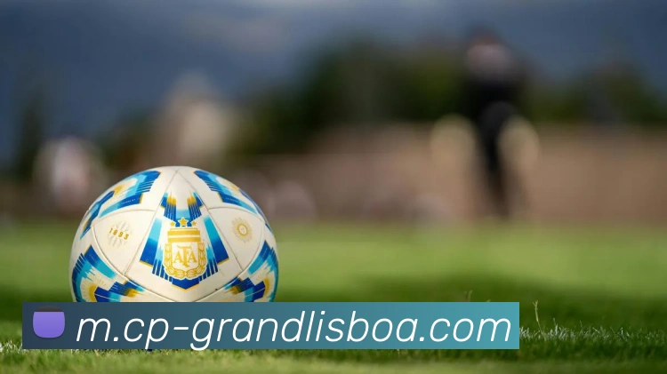 新葡京娱乐服务体系